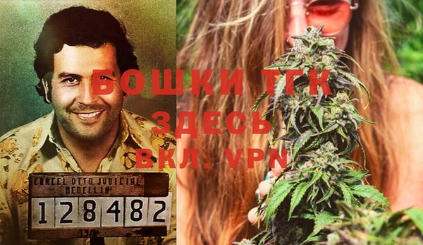 mdma Богданович