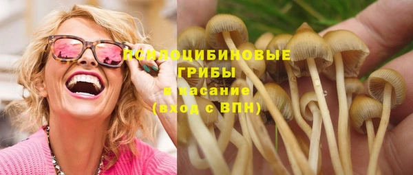 a pvp Арсеньев