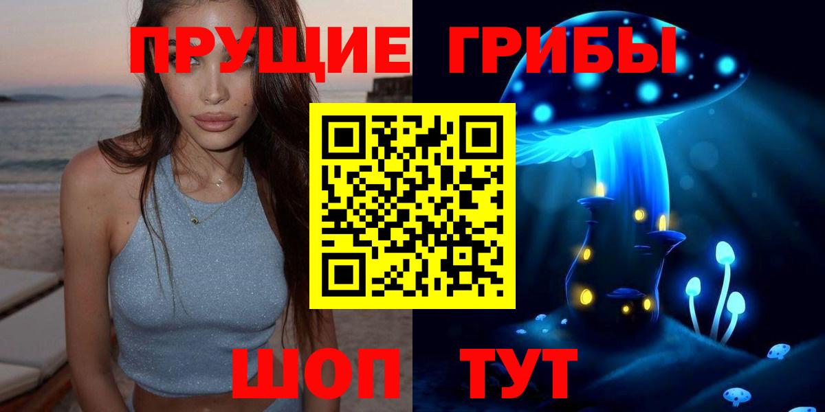 Псилоцибиновые грибы Psilocybe  Вход с VPN  Луховицы 