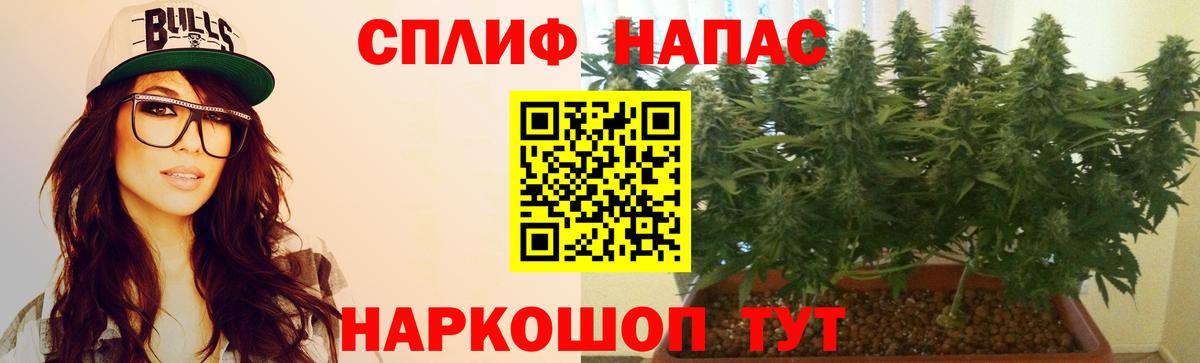 Конопля Bruce Banner  Конопля THC 21%  Вход с VPN  Бошки марихуана планчик  Луховицы 
